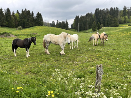 23-05-21 15-31-18 5527